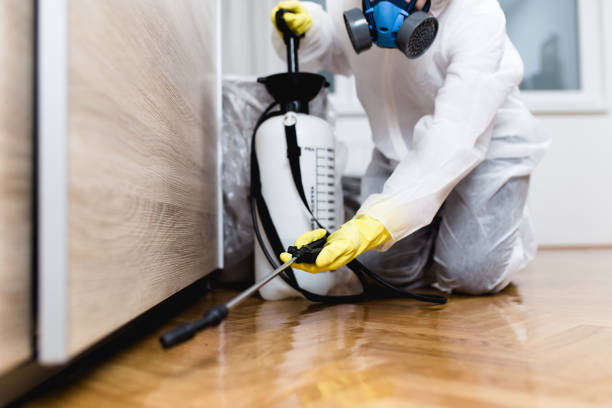 Best Local Pest Control Services  in Leisure Village, NJ