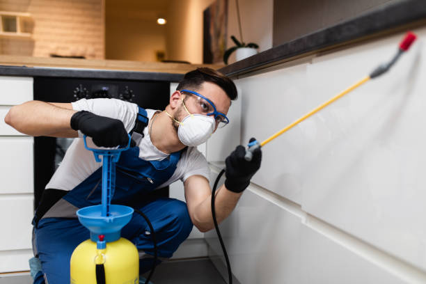 Best Pest Control Near Me  in Leisure Village, NJ