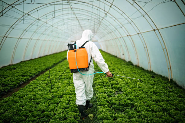 Best Pest Control Treatment  in Leisure Village, NJ