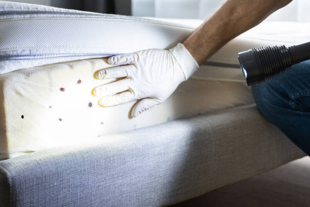 Pest Control Cost in Leisure Village, NJ