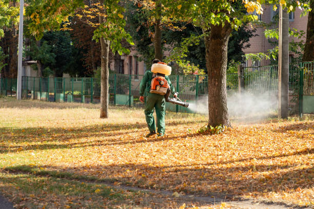 Best Termite Control Services  in Leisure Village, NJ