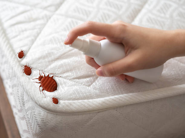 Best Pest Removal Services  in Leisure Village, NJ