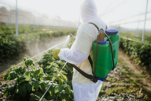  Leisure Village, NJ Pest Control Pros